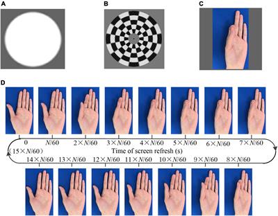 Age-related differences in the transient and steady state responses to different visual stimuli